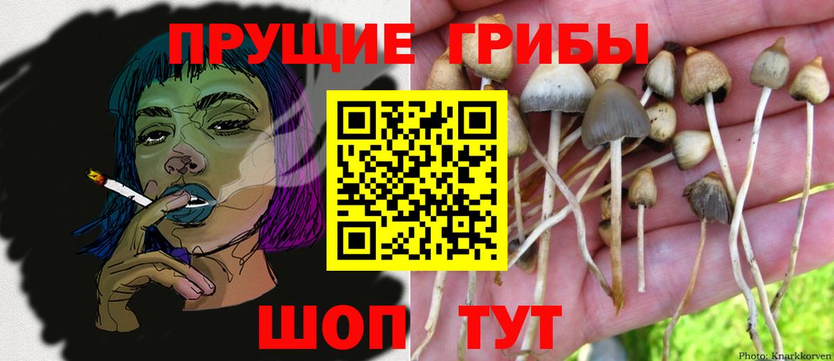 Королёв  Псилоцибиновые грибы мухоморы  Псилоцибиновые грибы ЛСД  Вход с VPN 